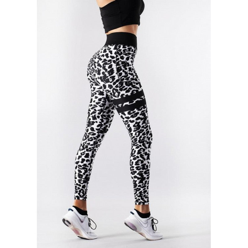 Shapelab Leo Breeze Leggings – Premium High-Waist Performance Leggings for Fitness & Everyday Wear