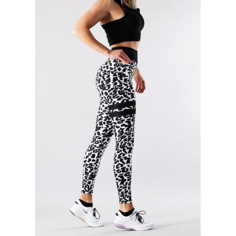 Shapelab Leo Breeze Leggings – Premium High-Waist Performance Leggings for Fitness & Everyday Wear