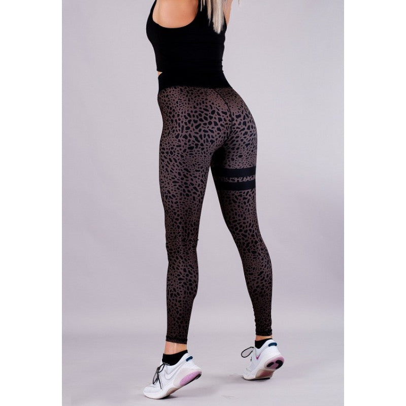 SHAPELAB Energy Base Leggings – High Waist, 4-Way Stretch, Antimicrobial & Breathable Fitness Tights